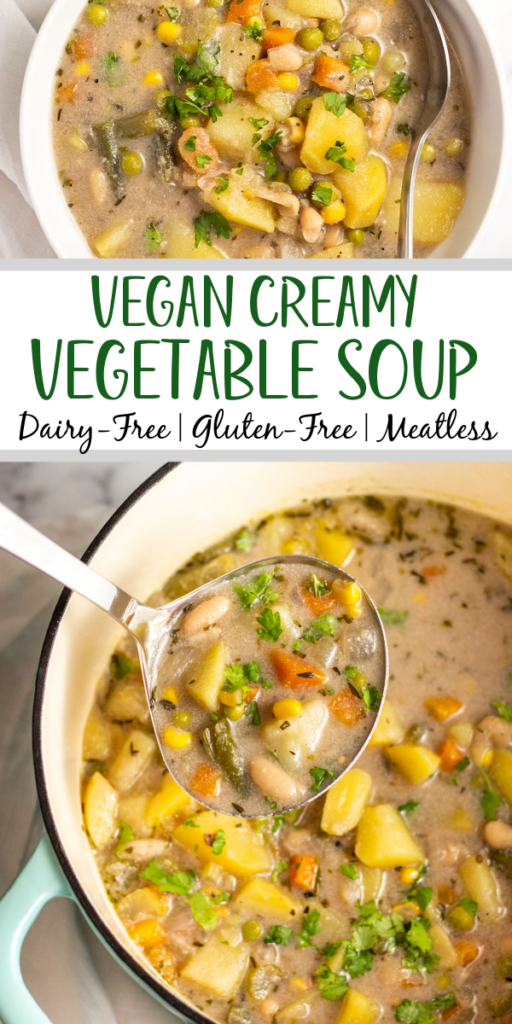 Creamy Vegetable Soup Mix