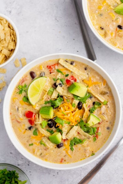 Slow Cooker Mexican Corn Chicken Soup (Gluten-Free) - Healthy Hearty ...