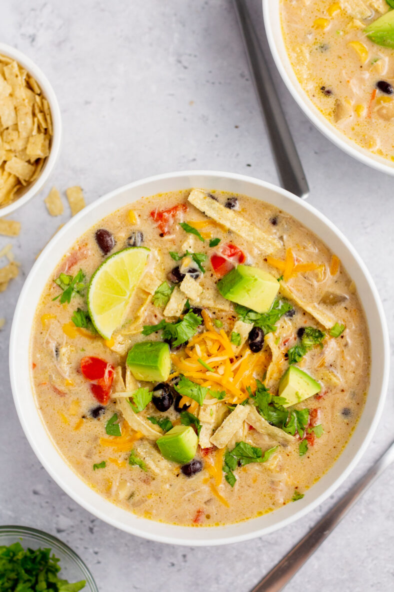 Slow Cooker Mexican Corn Chicken Soup (Gluten-Free) - Healthy Hearty ...