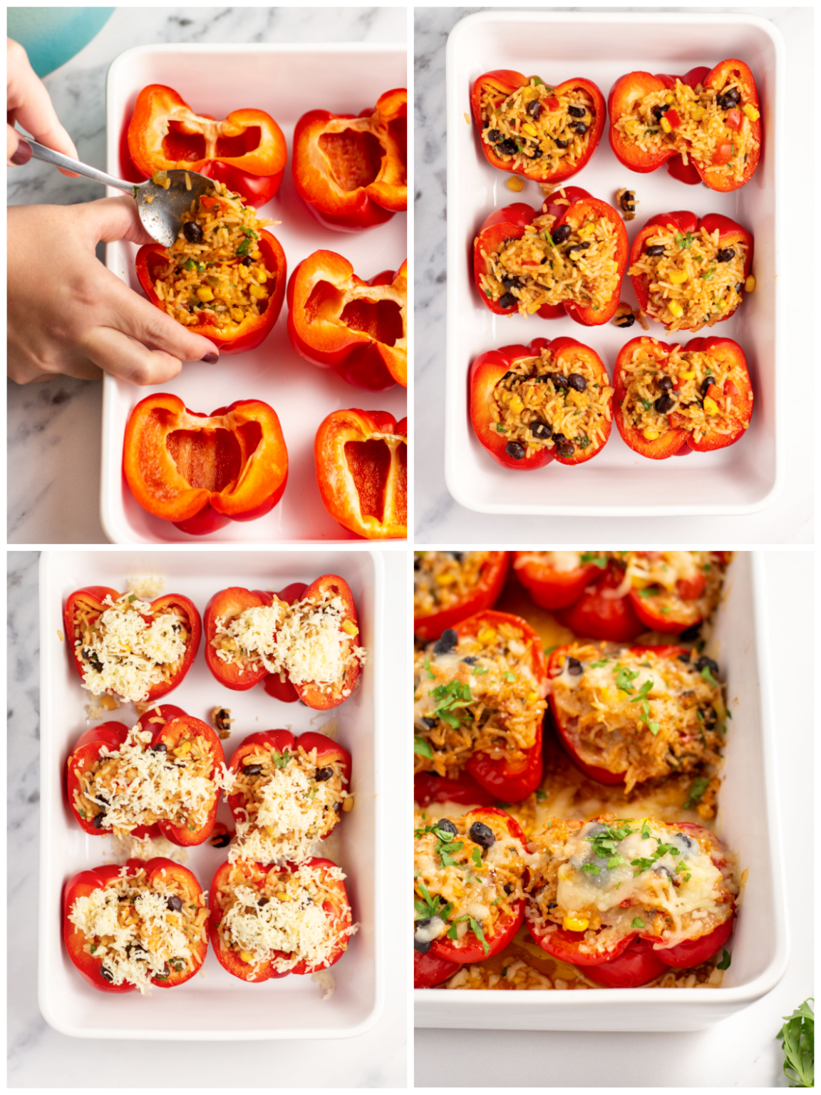 Meatless Mexican Stuffed Peppers Vegan, GlutenFree, DairyFree