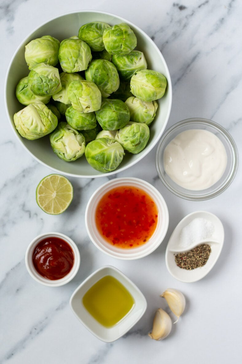 Bang Bang Brussels Sprouts - Healthy Hearty Recipes