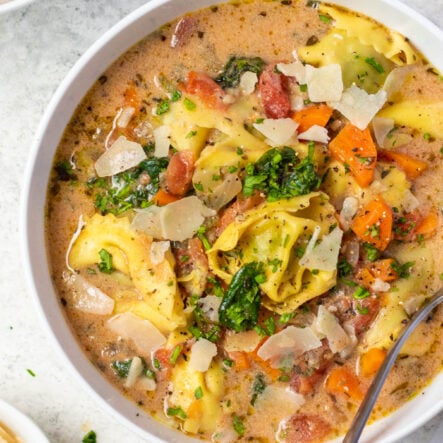 Instant pot creamy tortellini soup is an easy win. This recipe can be made gluten free or dairy free and since it uses the Instant Pot, it'll dirty only one dish and be ready quickly. The creaminess of the broth combined with the carrots and spinach makes for a tasty soup, especially with the tortellini. Besides when it's ready in 30 minutes you can't go wrong! #instantpot #glutenfreerecipes #dairyfreerecipes #tortellinisoup #healthydinnerrecipes