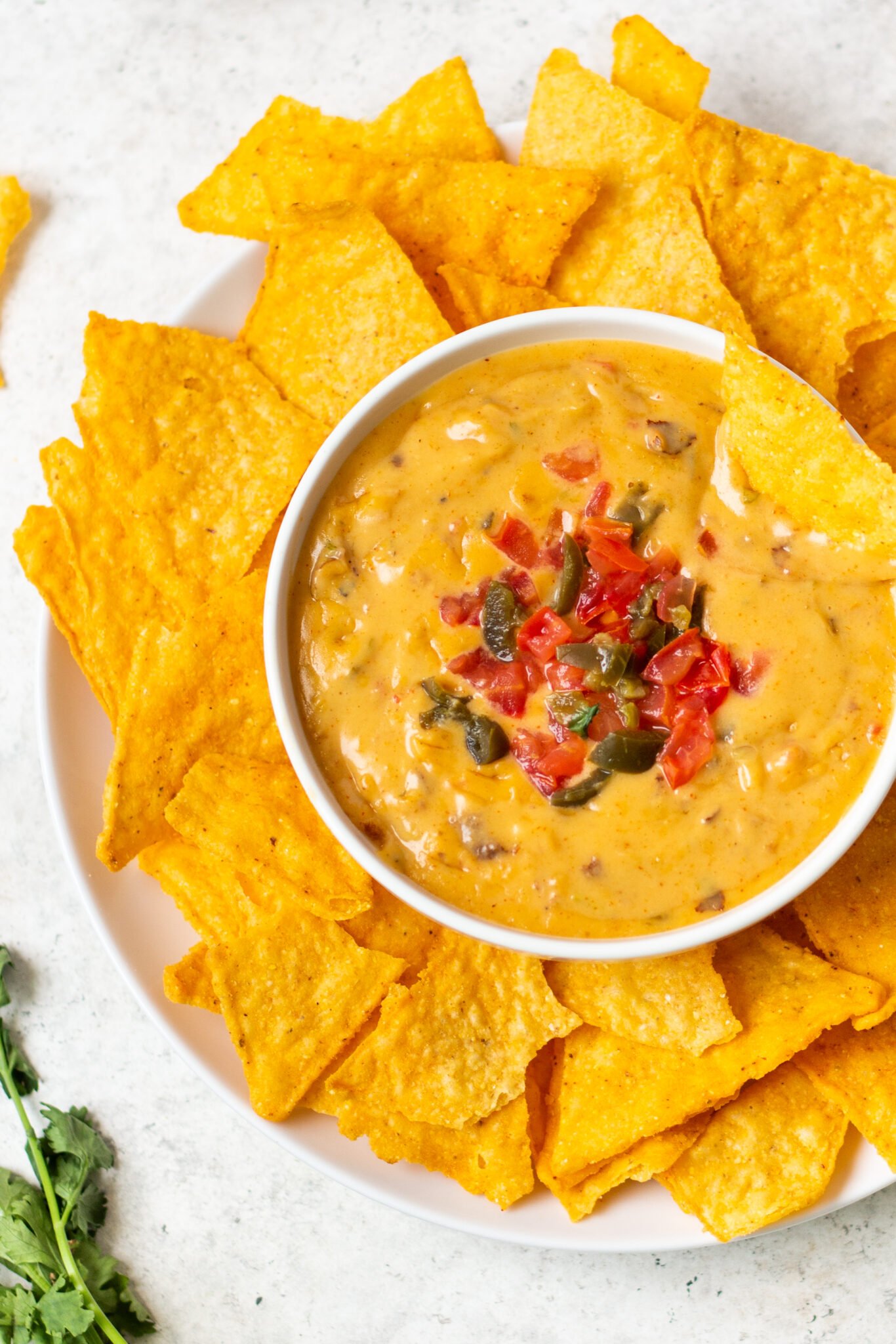 Queso Mozzarella Healthy Hearty Recipes